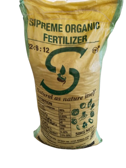 Main Product